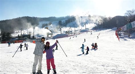 白色有香味的花|【釜山滑雪】探索韓國滑雪場的魅力！速睇釜山2024滑雪攻略